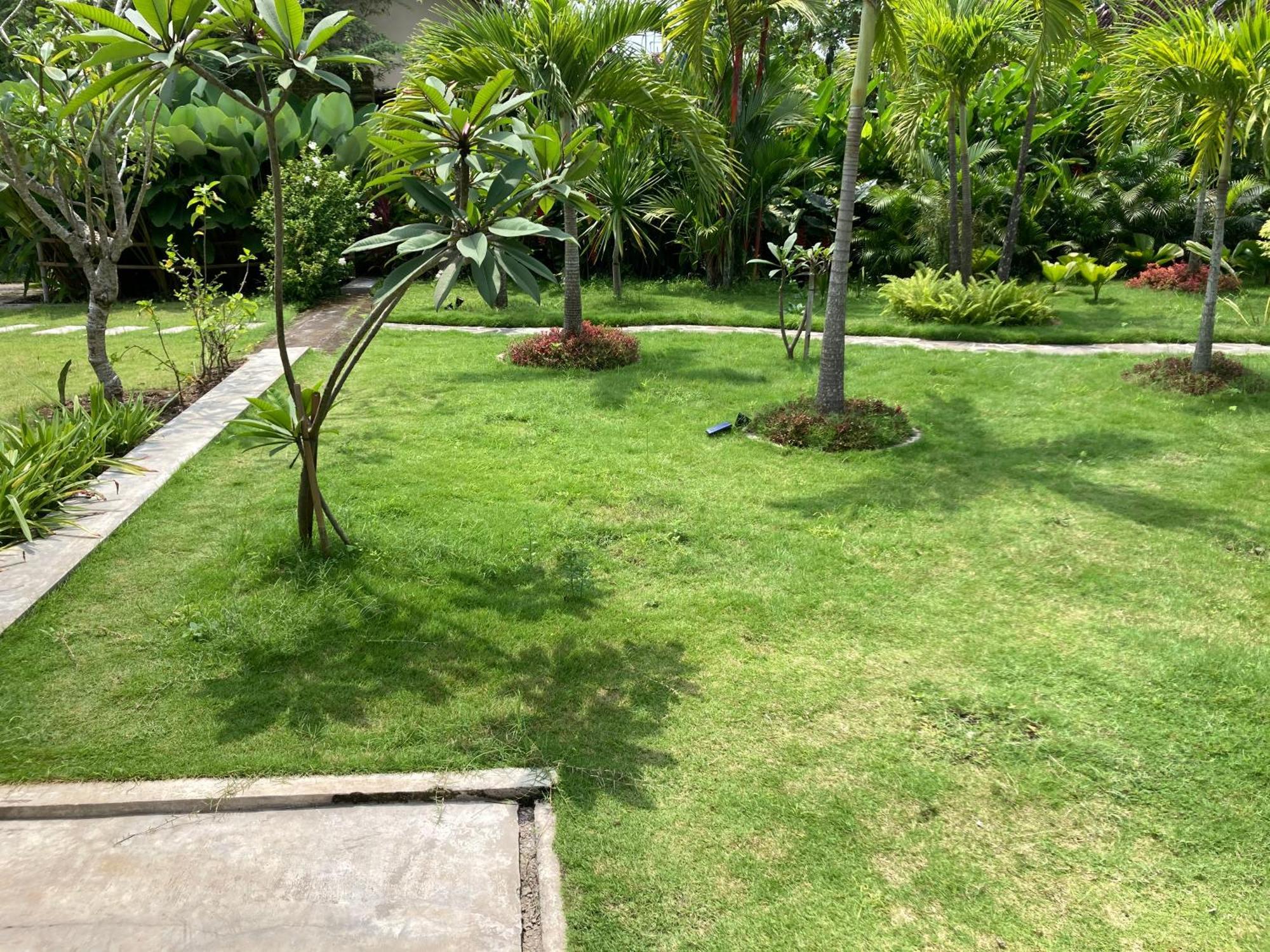 Ohmmstay - Rumah Pendopo * Tanjungtirto
