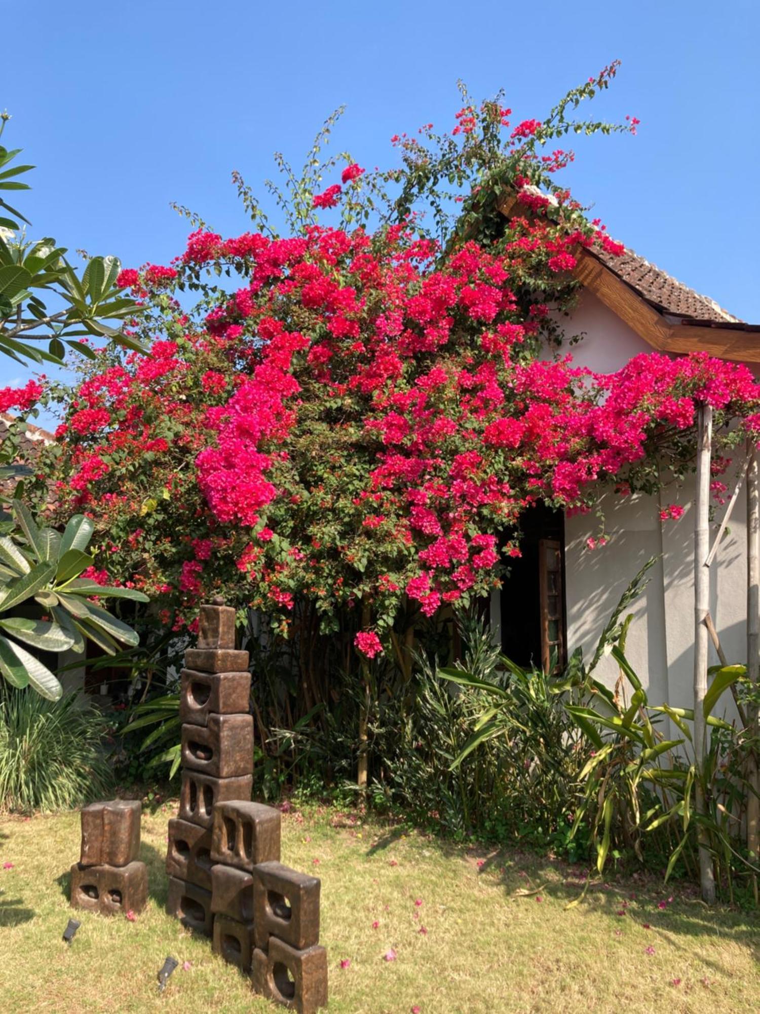 Ohmmstay - Rumah Pendopo Tanjungtirto